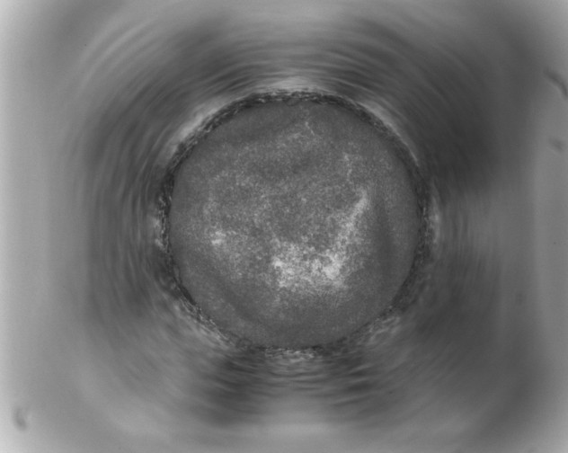 X0000102300823200808152015