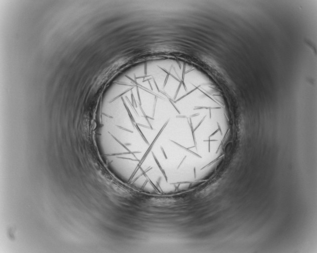 X0000102300825200808152015