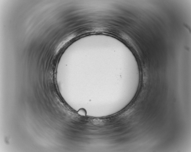 X0000102300827200808152015