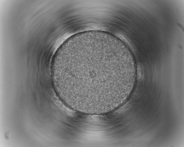 X0000102300828200808152015