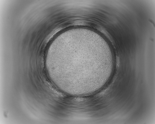 X0000102300829200808152015