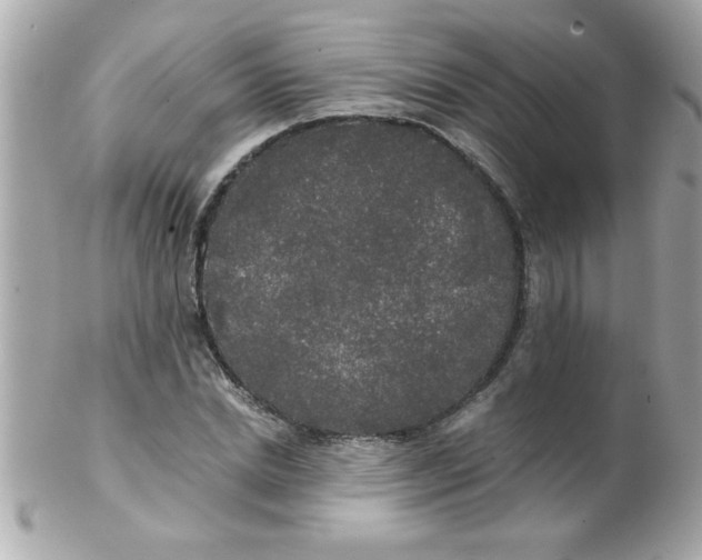 X0000102300830200808152015