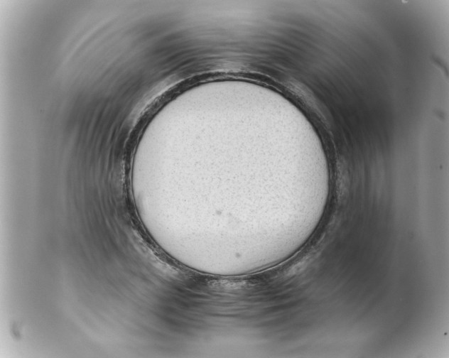 X0000102300831200808152015