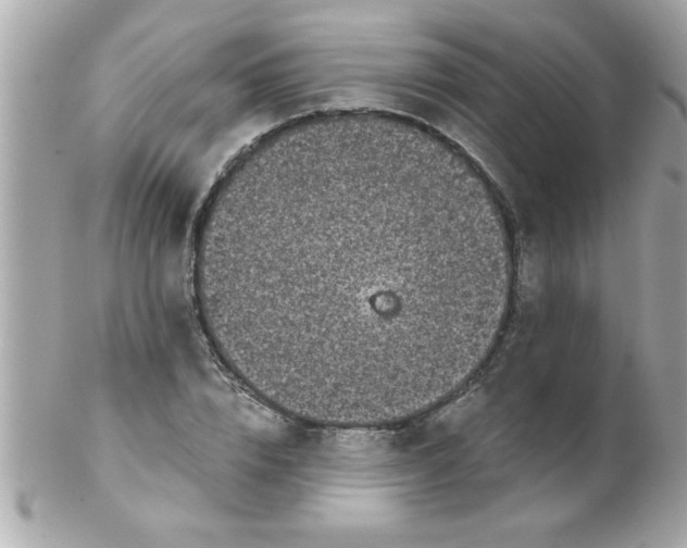 X0000102300832200808152015