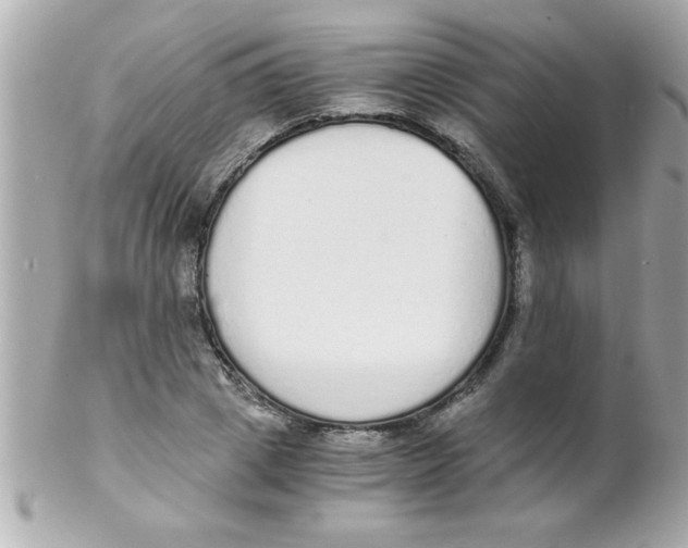 X0000102300833200808152015