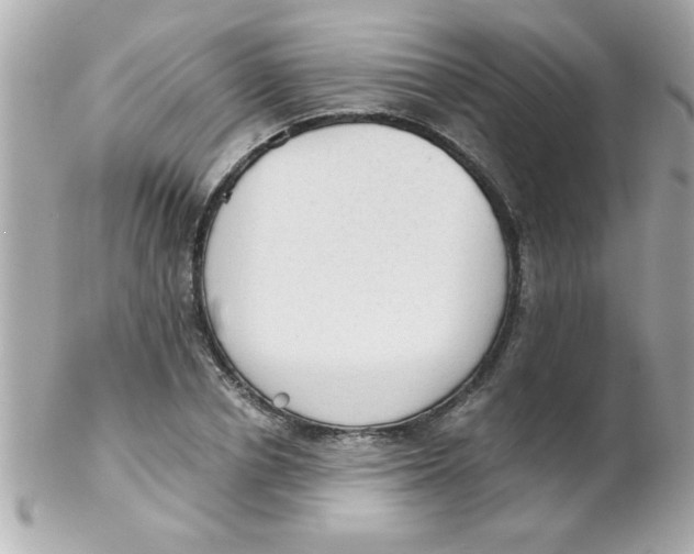X0000102300834200808152015