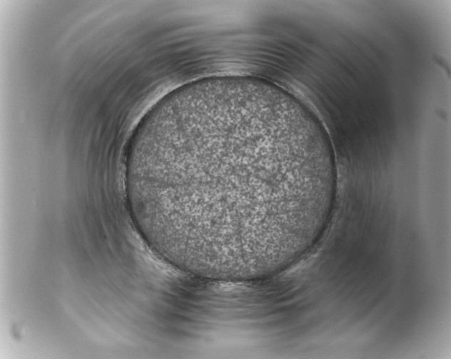 X0000102300835200808152015