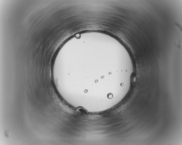 X0000102300837200808152015
