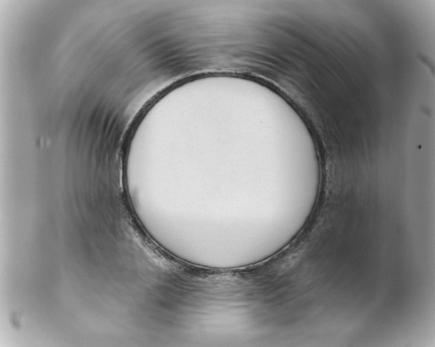 X0000102300838200808152015
