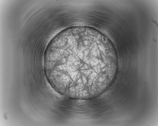 X0000102300839200808152015