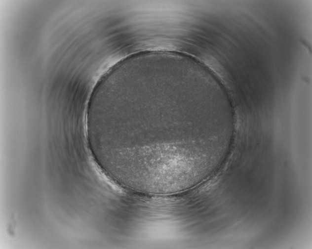 X0000102300840200808152015