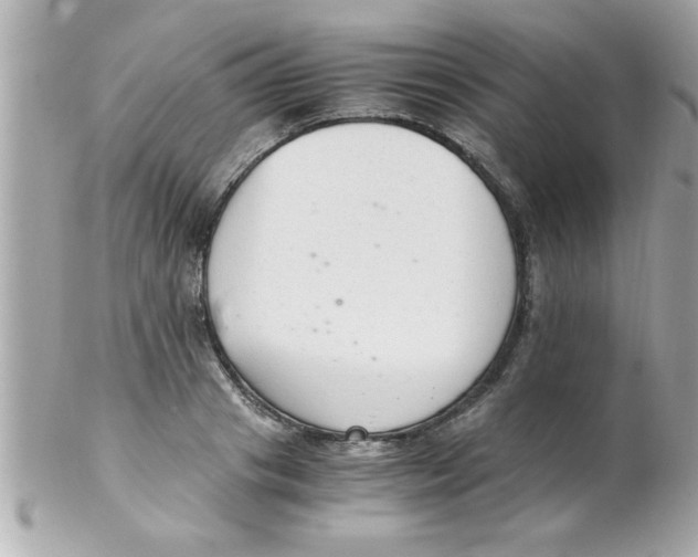 X0000102300841200808152015