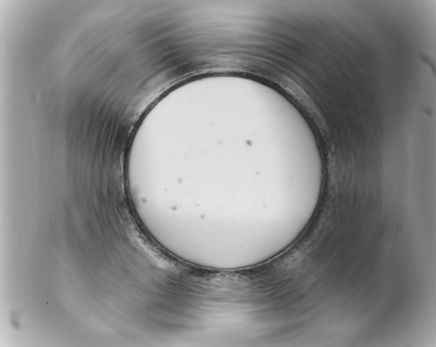X0000102300842200808152015