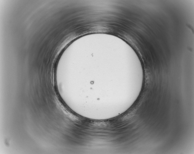 X0000102300843200808152015