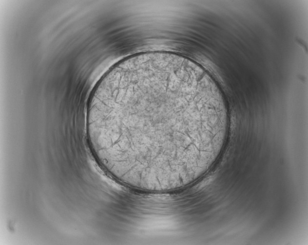 X0000102300844200808152015