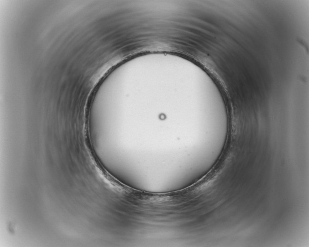 X0000102300845200808152015
