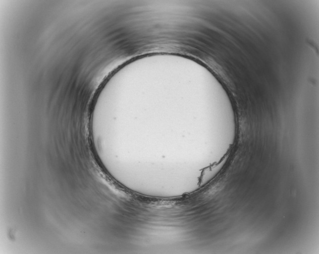 X0000102300846200808152015