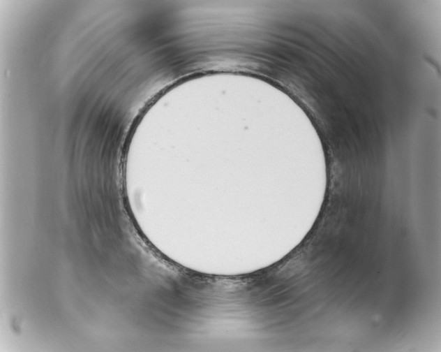 X0000102300848200808152015