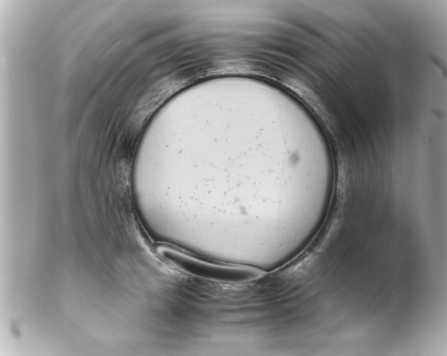 X0000102300849200808152015