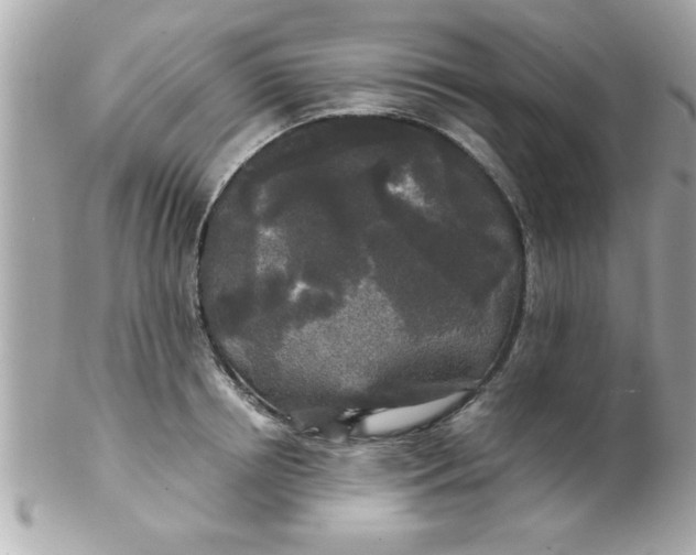 X0000102300850200808152015