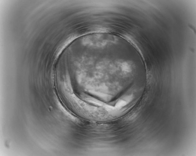 X0000102300851200808152015