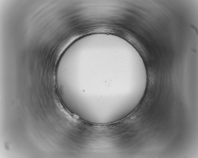 X0000102300852200808152015