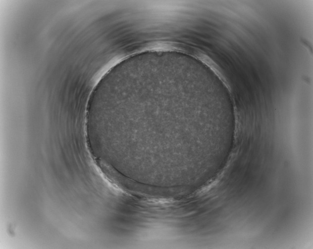 X0000102300853200808152015