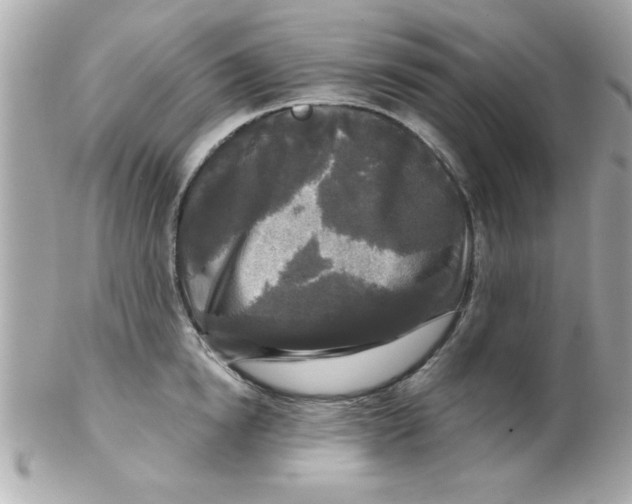 X0000102300854200808152015