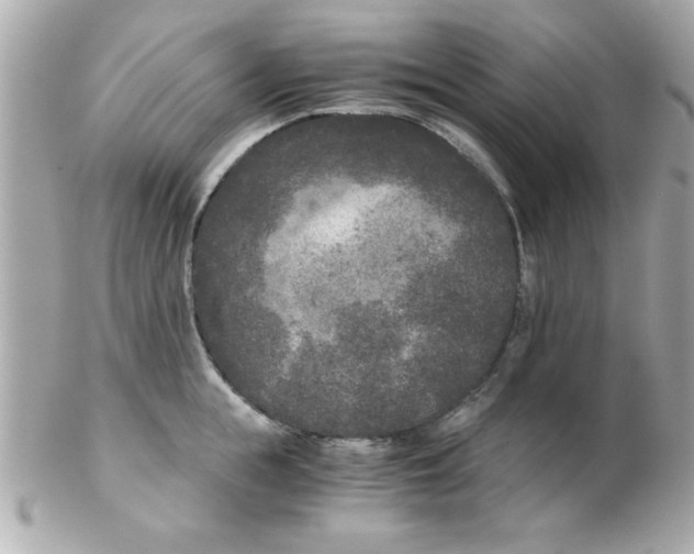 X0000102300855200808152015