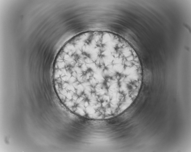 X0000102300856200808152015