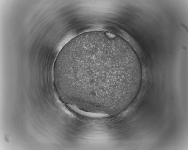X0000102300858200808152015