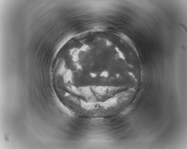 X0000102300859200808152015