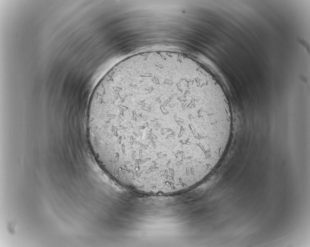 X0000102300860200808152015