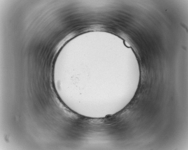 X0000102300861200808152015