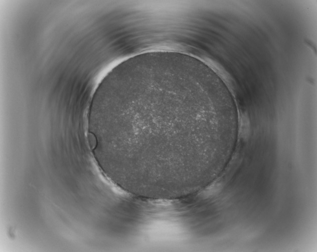 X0000102300862200808152015