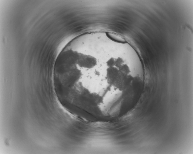 X0000102300863200808152015
