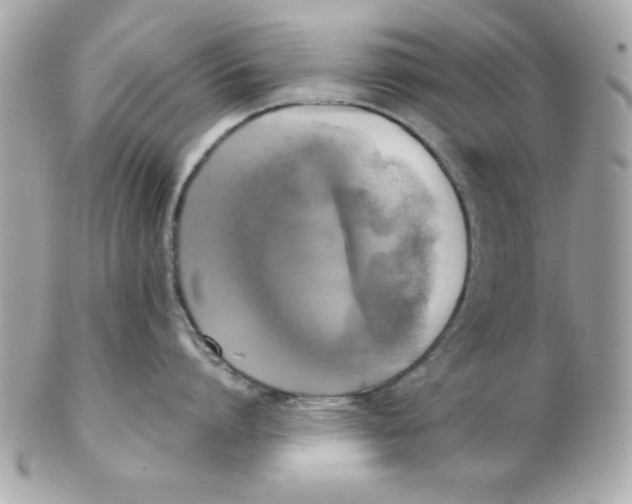X0000102300864200808152016