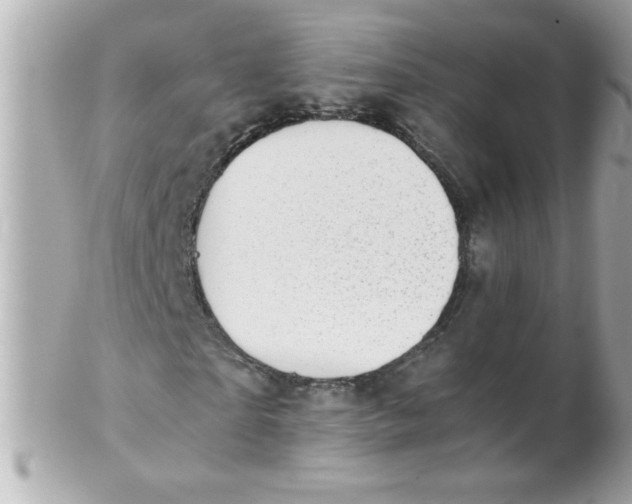 X0000102300865200808152015
