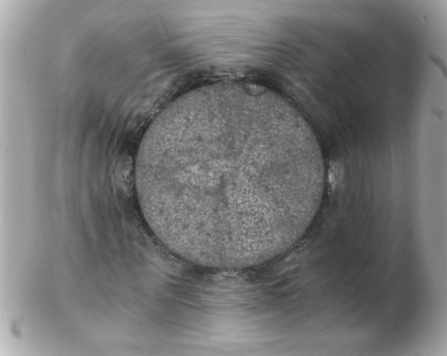 X0000102300867200808152015