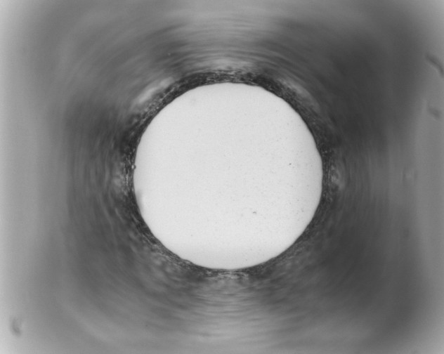 X0000102300869200808152015