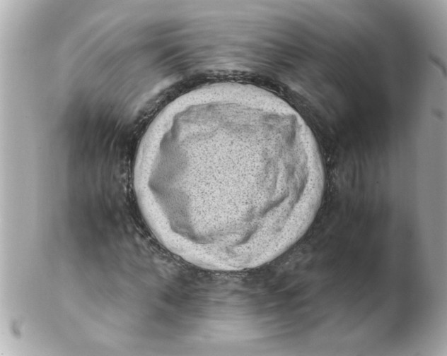 X0000102300870200808152015