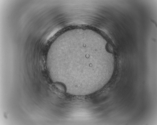 X0000102300871200808152015
