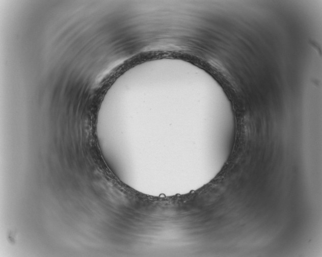 X0000102300872200808152015