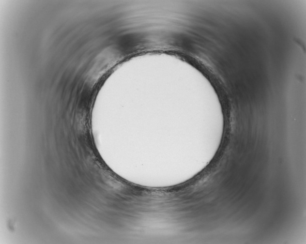 X0000102300873200808152015