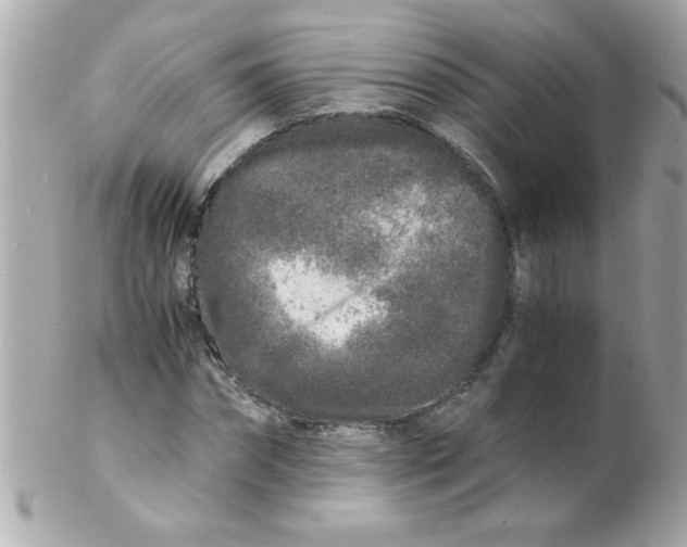 X0000102300874200808152015