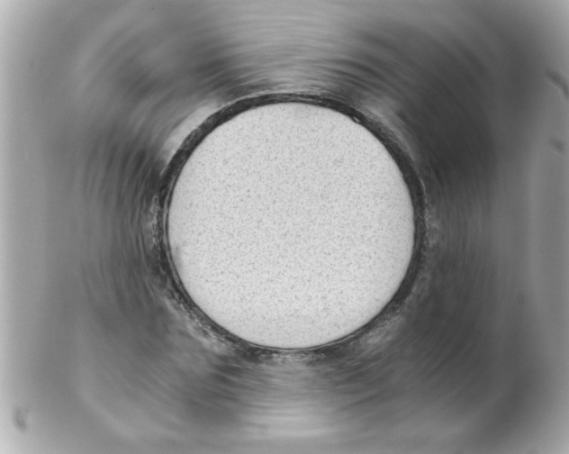 X0000102300875200808152015