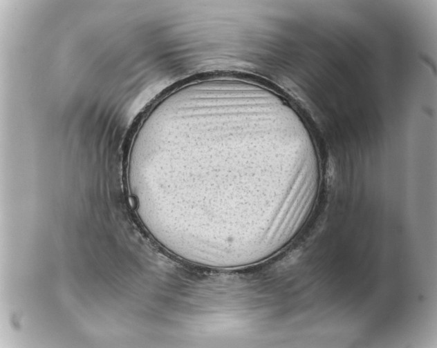 X0000102300877200808152015