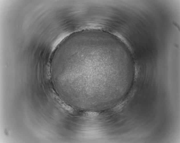X0000102300878200808152015