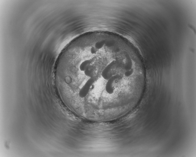 X0000102300879200808152015