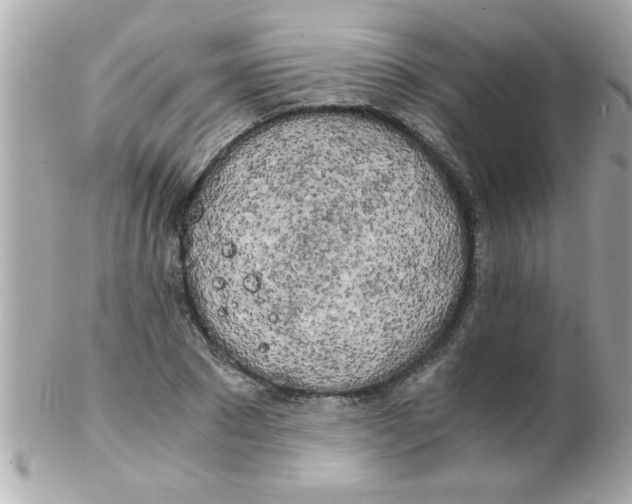 X0000102300881200808152015